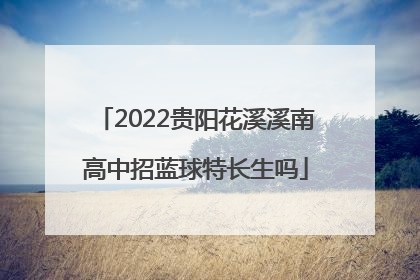 2022贵阳花溪溪南高中招蓝球特长生吗