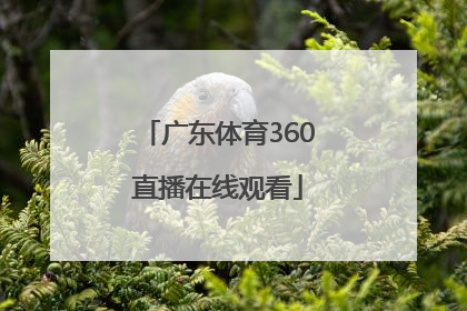 「广东体育360直播在线观看」360绿色体育直播在线观看