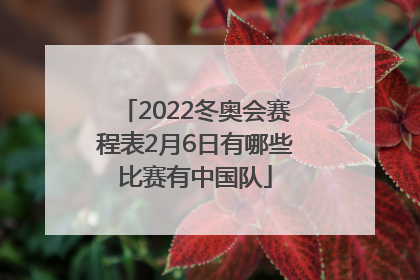 2022冬奥会赛程表2月6日有哪些比赛有中国队
