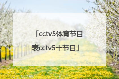 cctv5体育节目表cctv5十节目