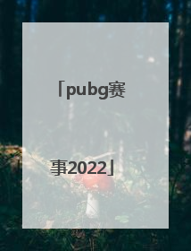 「pubg赛事2022」pubg赛事2021哪里有直播